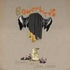 albumhoes van Hymns For a Dark Horse (Bowerbirds)