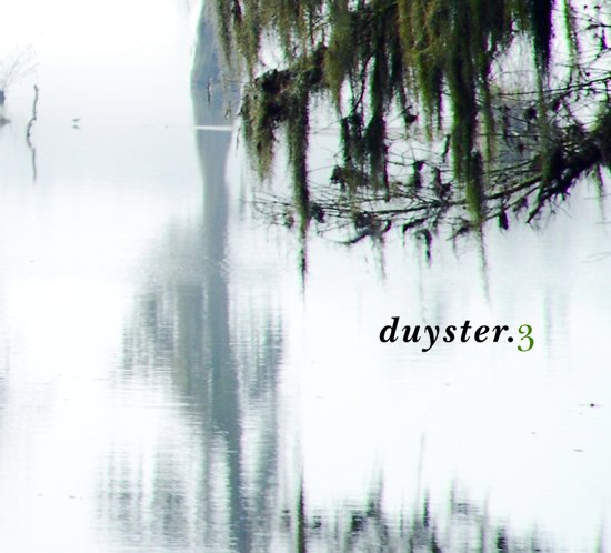 afbeelding duyster.3